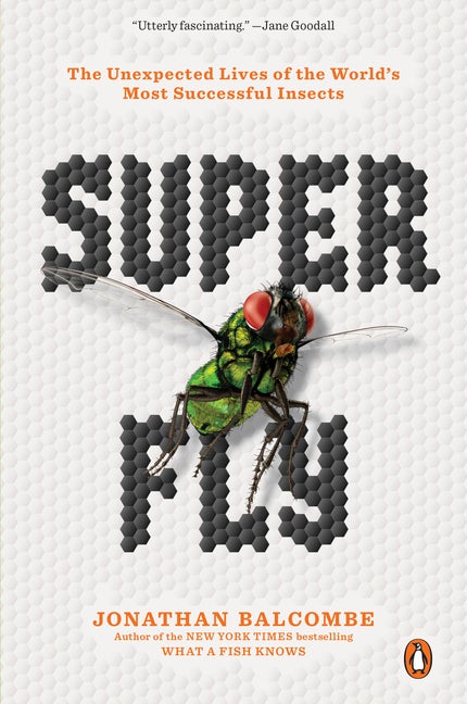 Item #63711 Super Fly: The Unexpected Lives of the World's Most Successful Insects. Jonathan Balcombe.