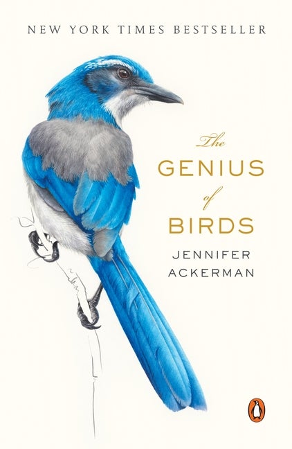 Item #29489 The Genius of Birds. Jennifer Ackerman