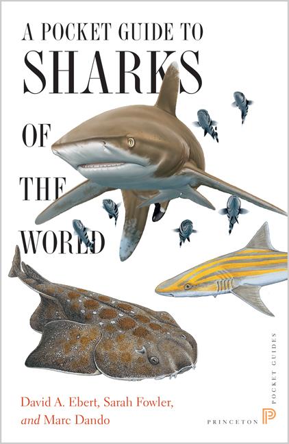 Item #26763 A Pocket Guide to Sharks of the World. David A Ebert, Marc, Dando, Sarah, Fowler