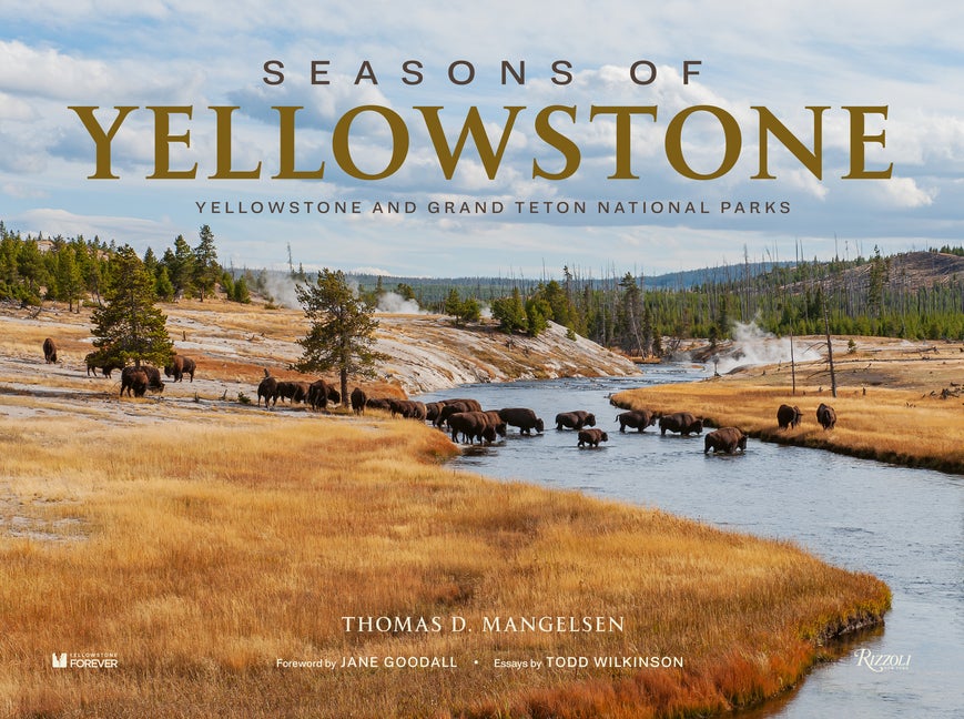 Item #86080 Seasons of Yellowstone. Thomas D. Mangelsen, Todd Wilkinson, Jane Goodall, Photographer, Art/Photo Books.