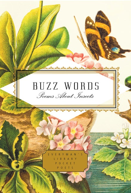 Item #61943 Buzz Words: Poems About Insects (Everyman's Library Pocket Poets Series). Kimiko Hahn, Harold Schechter.