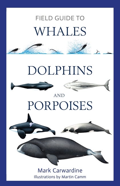 Item #80918 Field Guide to Whales, Dolphins and Porpoises. Mark Carwardine