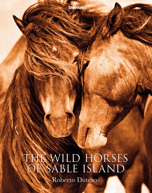 Item #50846 The Wild Horses of Sable Island. Roberto Dutesco