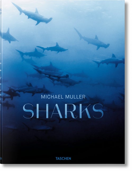 Item #26627 Michael Muller: Sharks. Arty Nelson, Kock Alison, Philippe Cousteau Jr, Michael...