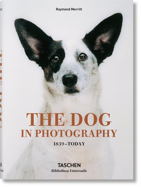 Item #26695 The Dog in Photography 1839–Today. Raymond Merritt