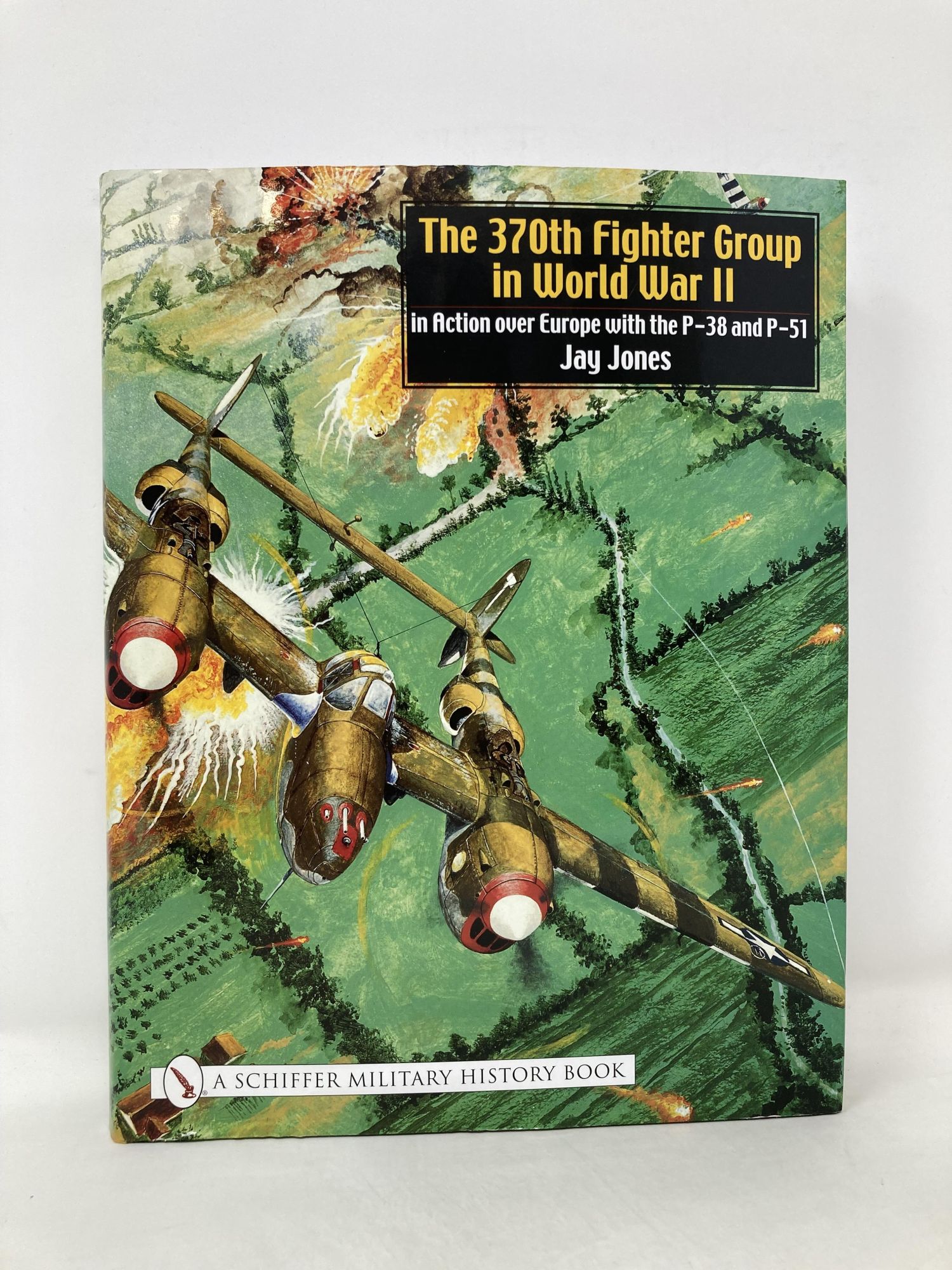 The 370th Fighter Group in World War II: In Action Over Europe 