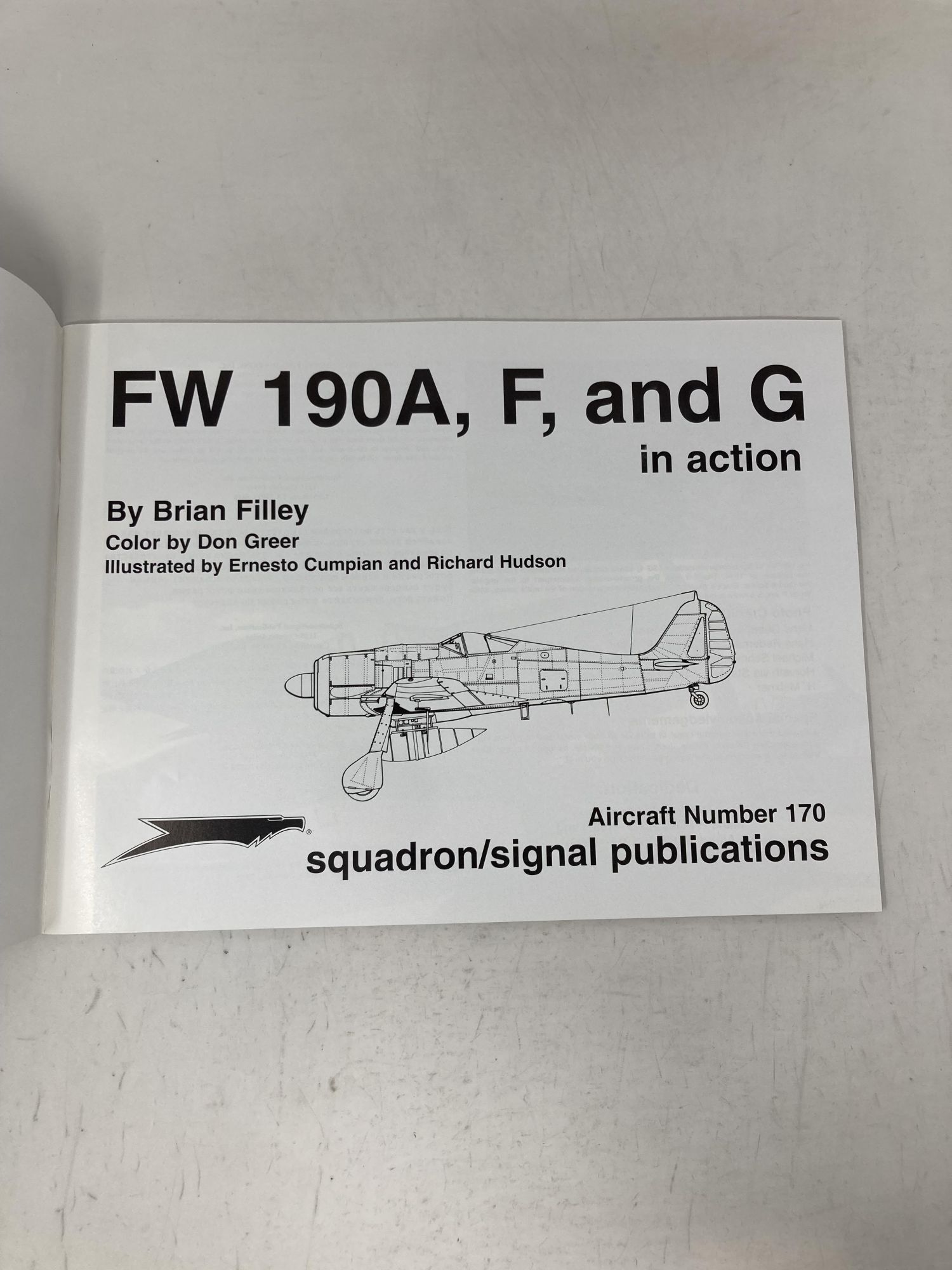Focke Wulf Fw 190 in Action - Aircraft No. 170 | Brian Filley