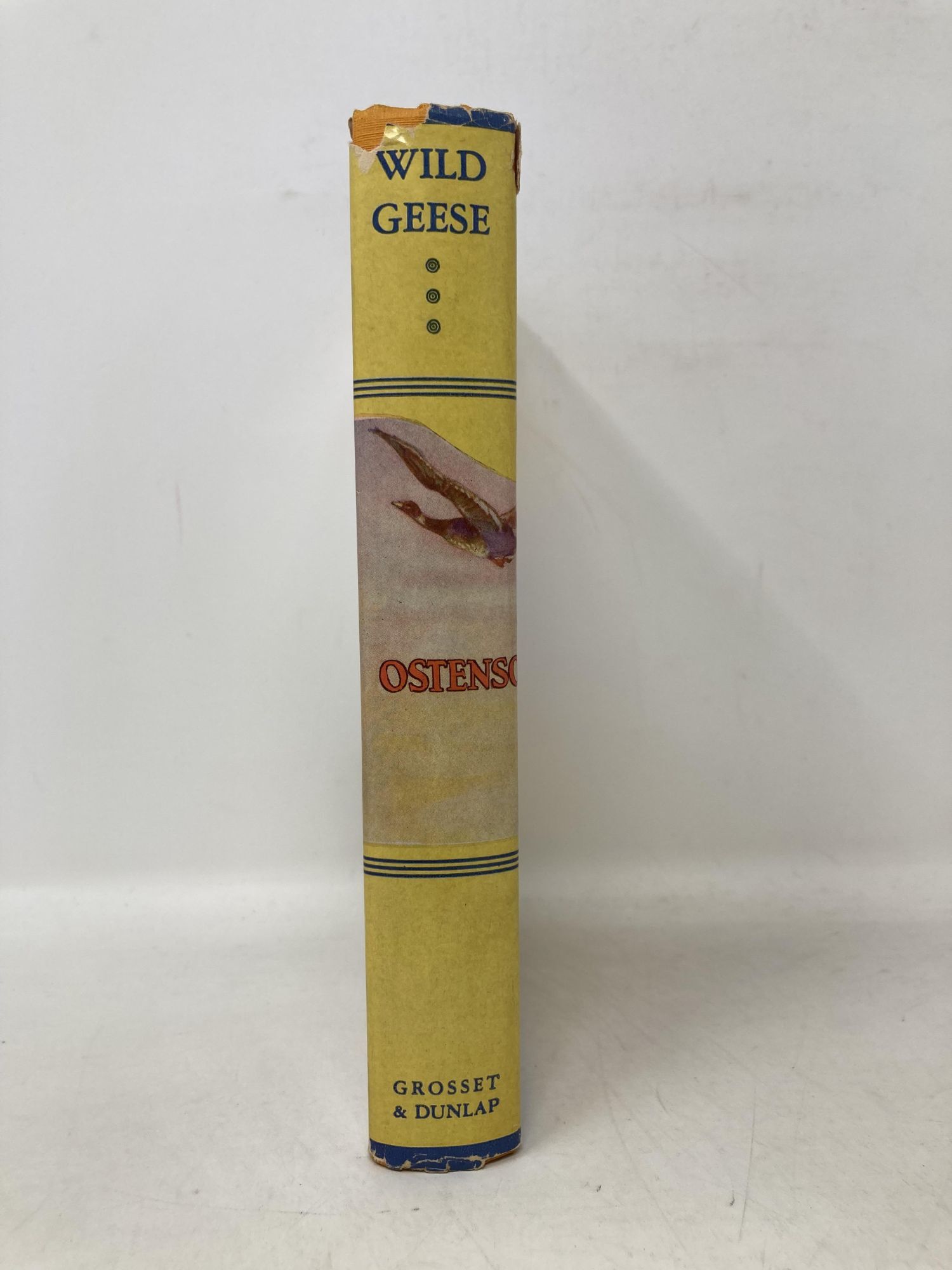 Wild Geese | Martha Ostenso | First Thus