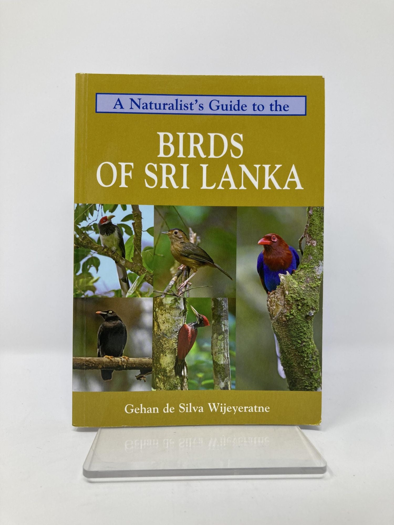 A Naturalists Guide To The Birds Of Sri Lanka Naturalists Guides Gehan De Silva Wijeyeratne 