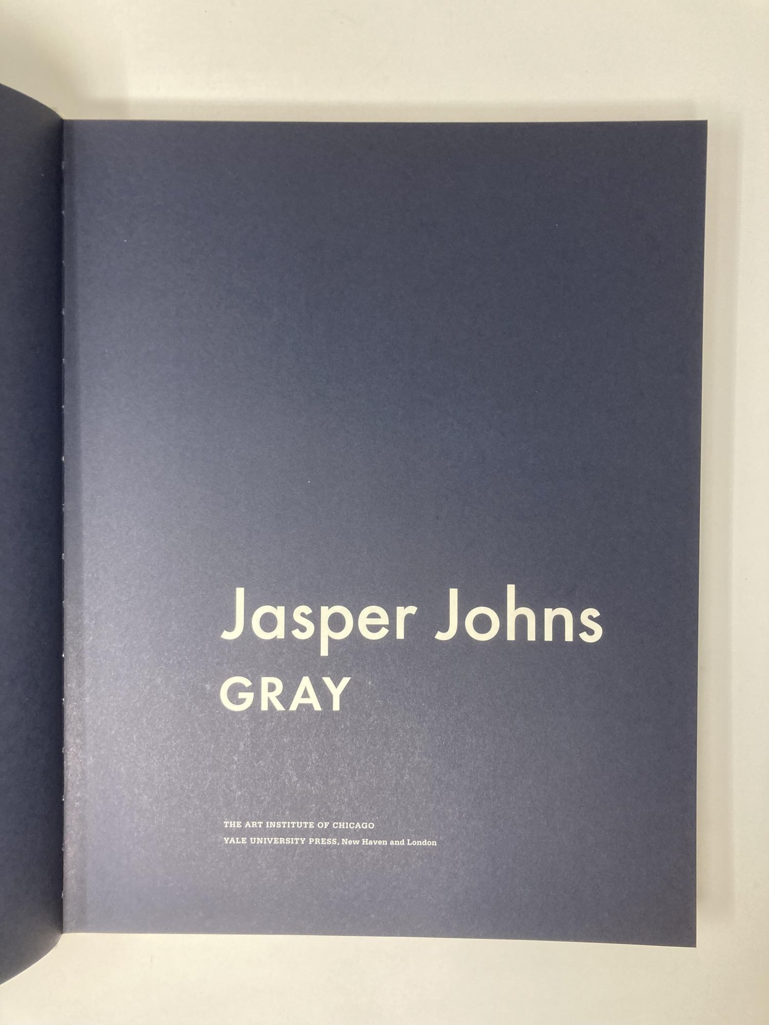 Jasper Johns: Gray | Douglas Druick, James, Rondeau | First Edition