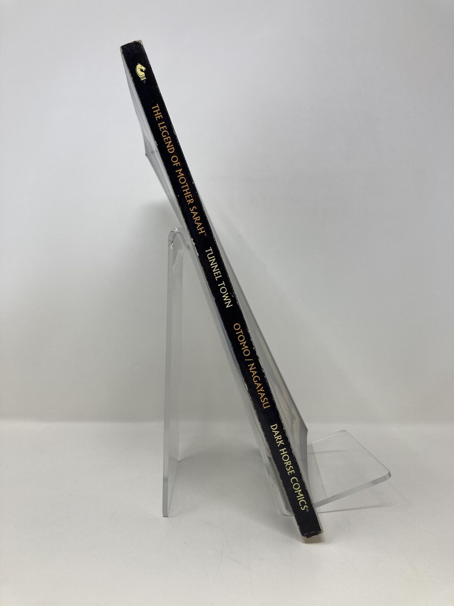 Legend of Mother Sarah: Tunnel Town | Kentaro Miura | First Edition