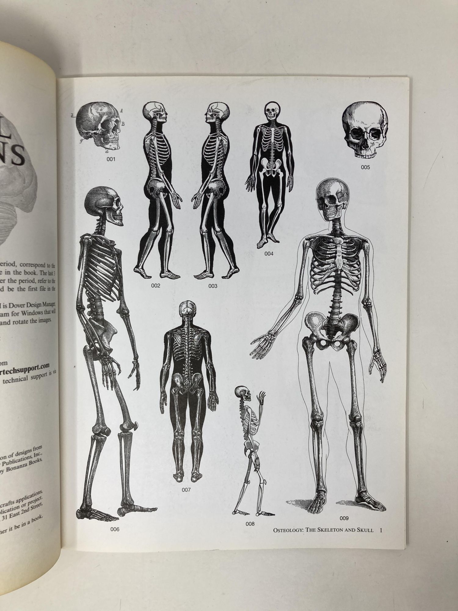 Old-Time Anatomical Illustrations CD-ROM and Book Dover Electronic