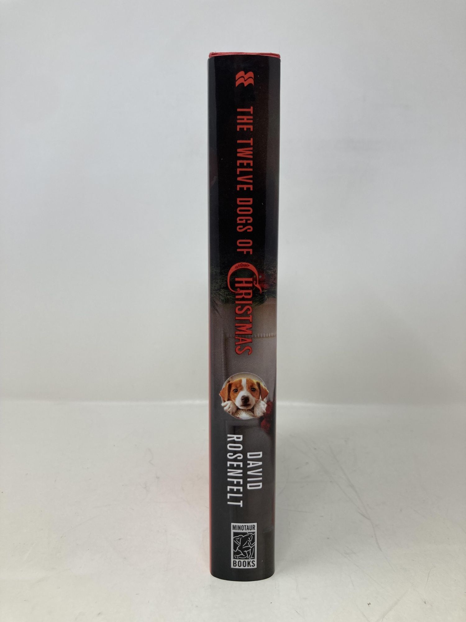 The Twelve Dogs of Christmas: An Andy Carpenter Mystery An Andy
