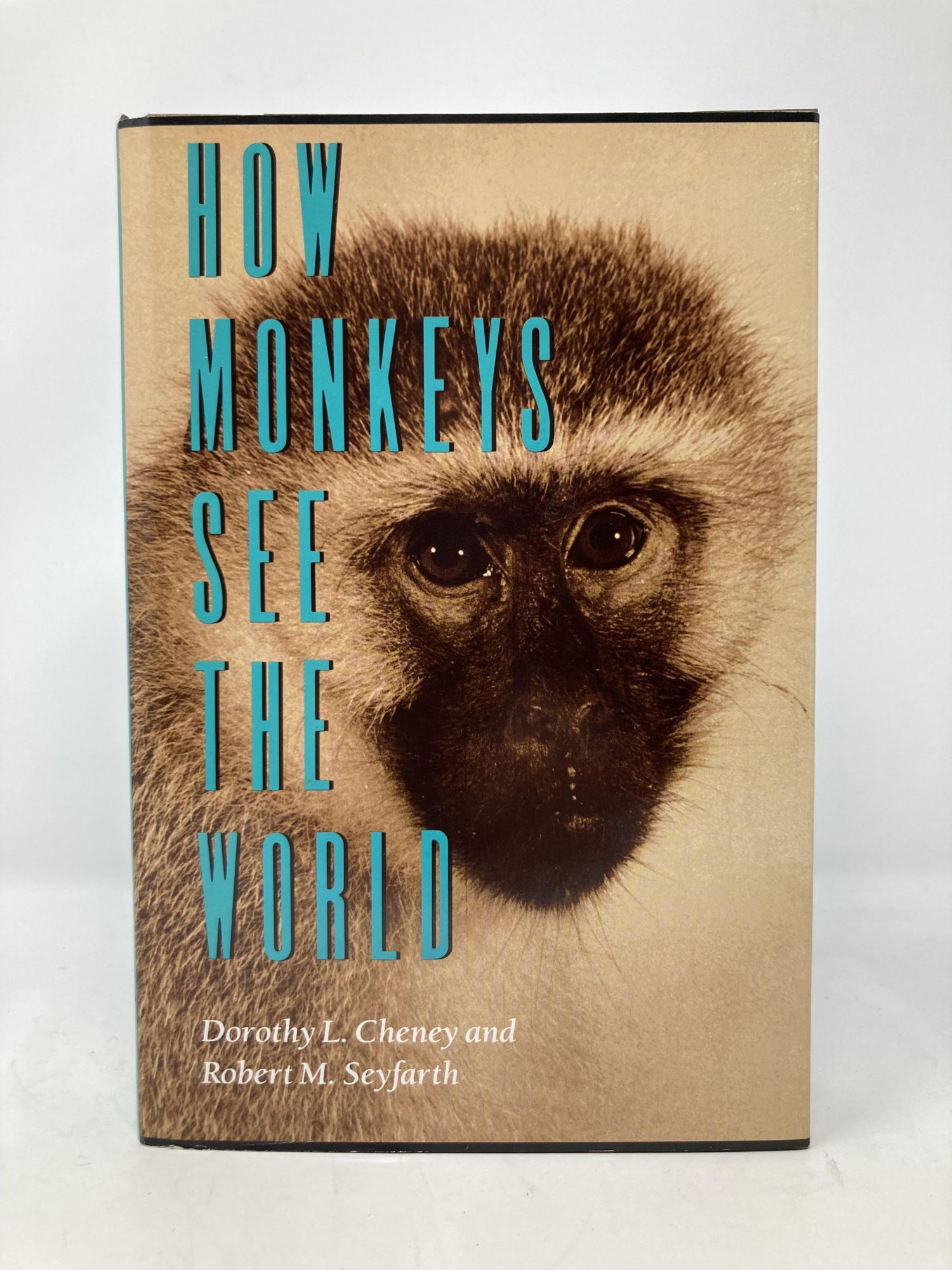 How Monkeys See the World: Inside the Mind of Another Species