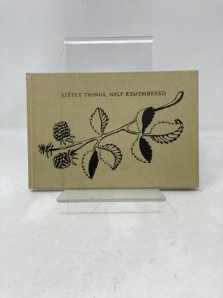 Little Things, Half Remembered
