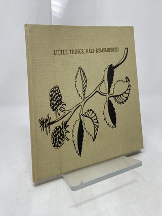 Little Things, Half Remembered