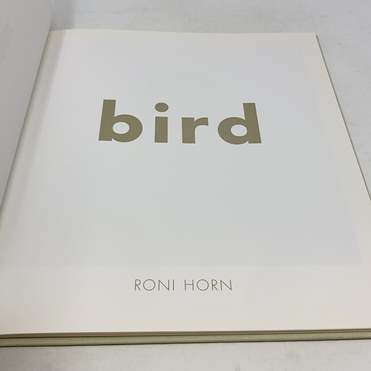 Roni Horn: Bird | Roni Horn | FIRST EDITION