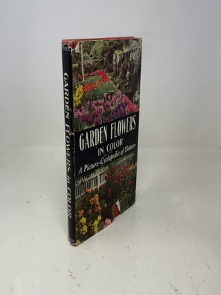 Garden Flowers