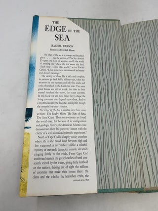 The Edge of the Sea