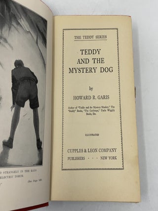 Teddy and the Mystery Dog