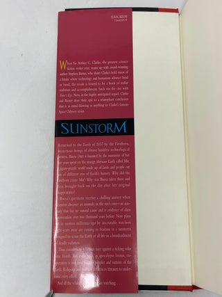 Sunstorm (A Time Odyssey, Book 2)
