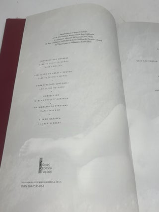 Las rutas de la luz: El paisaje de Baja California (Spanish Edition)