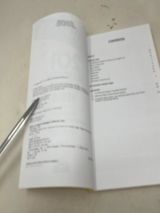 201 Mandarin Chinese Verbs (Barron's Foreign Language Guides)