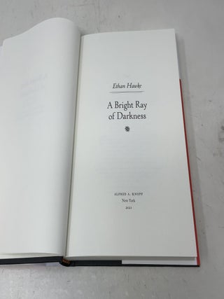 A Bright Ray of Darkness: A novel