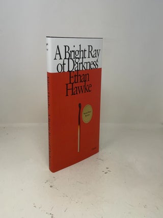 A Bright Ray of Darkness: A novel