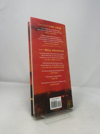 Like Lions: A Novel