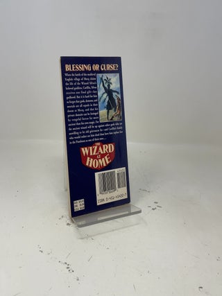 The Wizard at Home (Seven Towers)