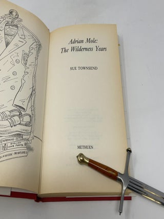Adrian Mole: The Wilderness Years