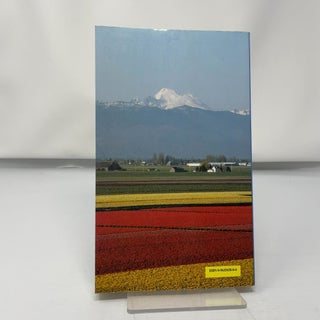 One Sunny Day