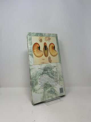 The Encyclopedia of Seashells