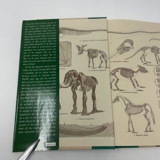 The Call of Distant Mammoths: Why the Ice Age Mammals Disappeared