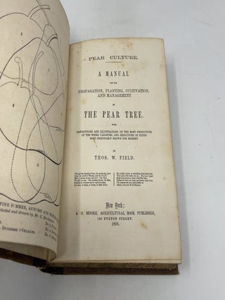 Pear Culture - A Manual