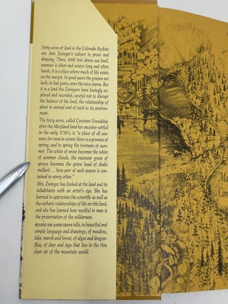 Beyond the Aspen Grove