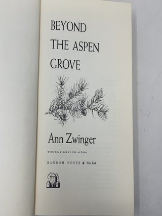 Beyond the Aspen Grove