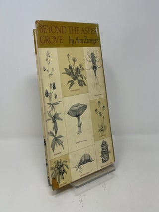 Beyond the Aspen Grove