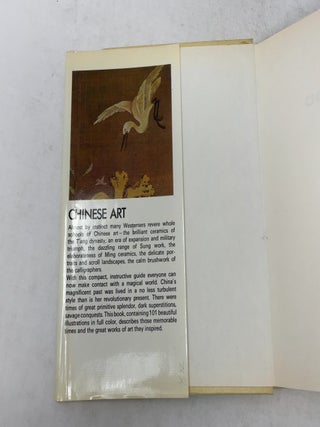 CHINESE ART: 101 Full Colour Illustrations