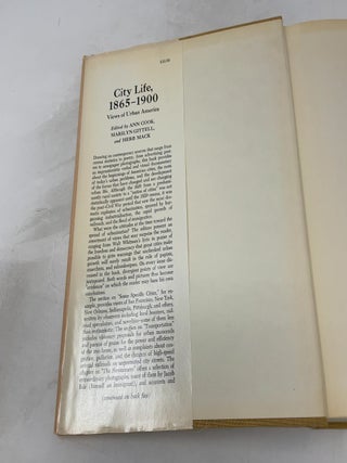 City Life 1965-1900, Views of Urban America