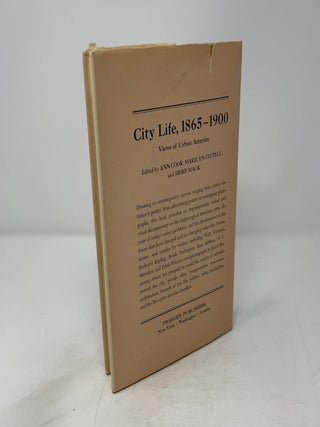 City Life 1965-1900, Views of Urban America