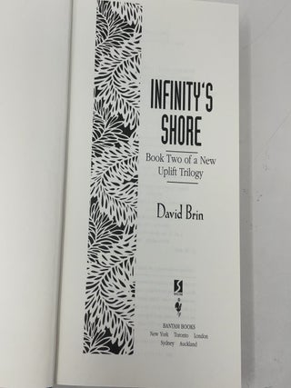 Infinity's Shore