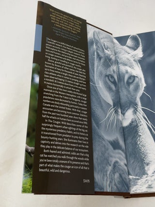 The Cougar: Beautiful, Wild and Dangerous