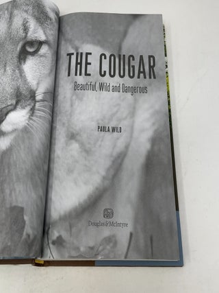 The Cougar: Beautiful, Wild and Dangerous