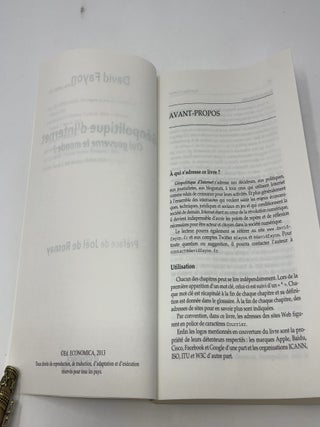 Géopolitique D'Internet