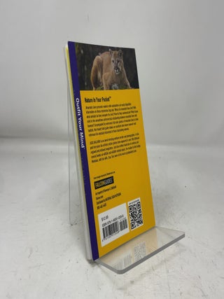 Mountain Lions (Falcon Pocket Guides)