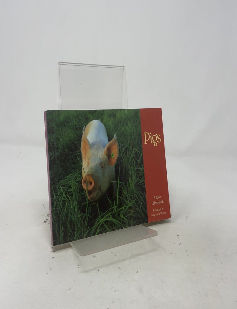 Item #550518 Pigs. David Lorenz Winston.