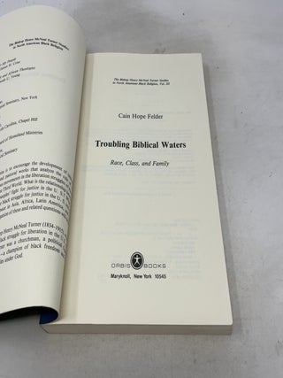 Troubling Biblical Waters (Bishop Henry Mcneal Turner Studies in North American Black Religion, 3)