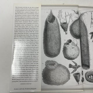 The Bird Illustrated, 1550-1900: From the Collections of the New York Public Library